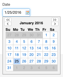 Default date picker